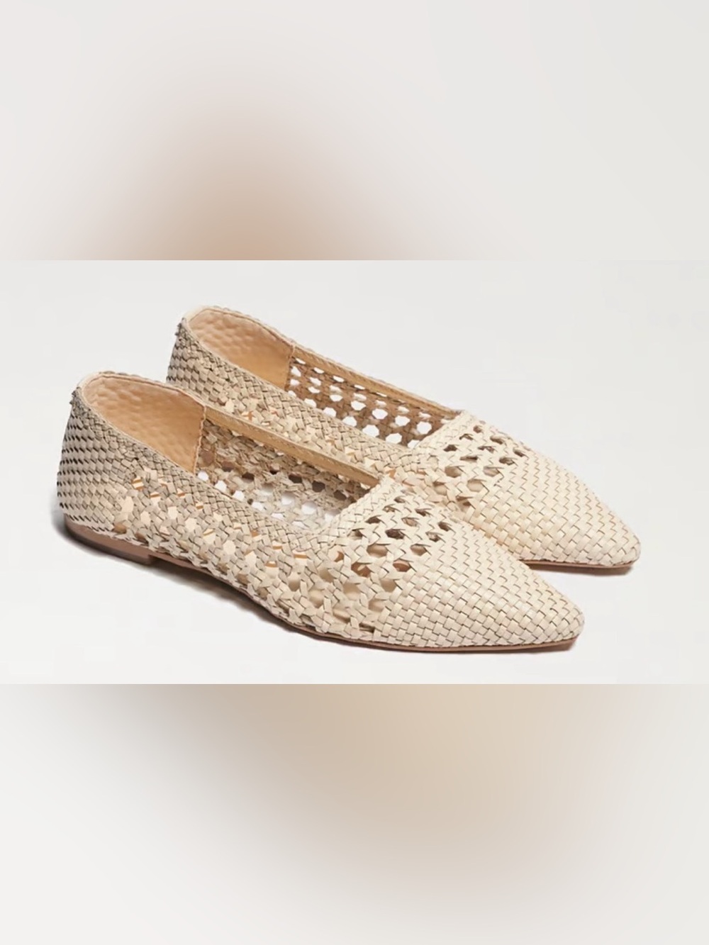 Sam Edelman Deena Pointed Toe Ballet Flats